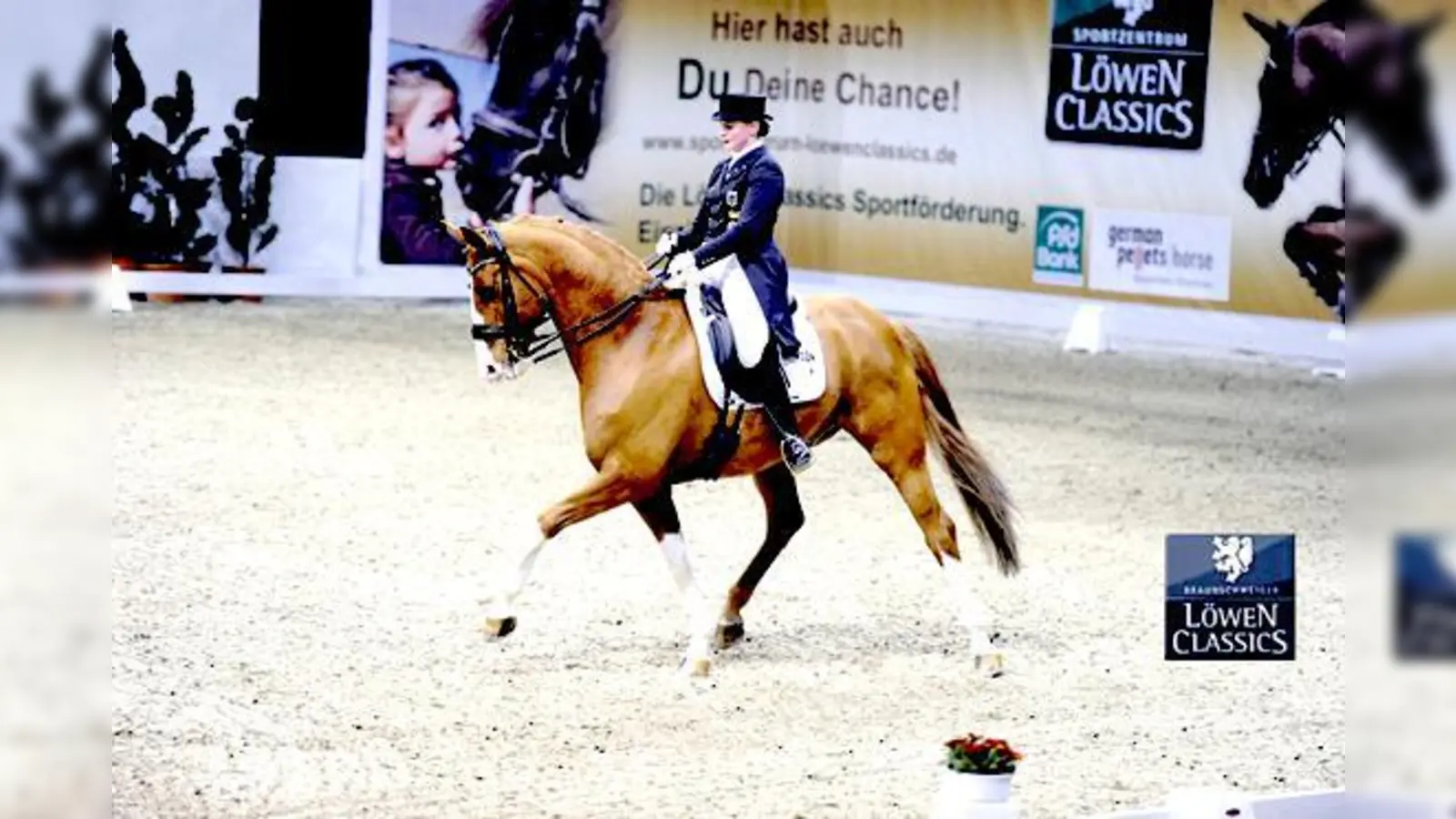 Für Pferdefreunde ein Muss, das Jubiläumsturnier auf dem Gut Riedhausen, dass von Donnerstag bis Sonntag stattfindet. 	 (Foto: VA)