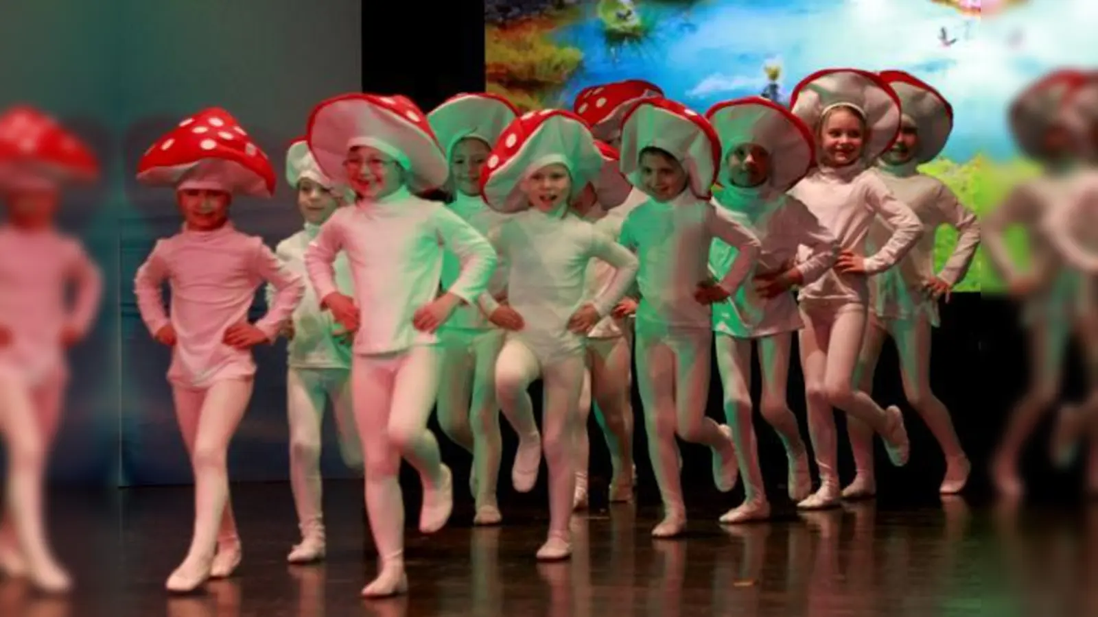 Wunderschöne Bilder zauberte die Ballettschule bei der Aufführung für ihre Zuschauer.	 (Foto: VA)