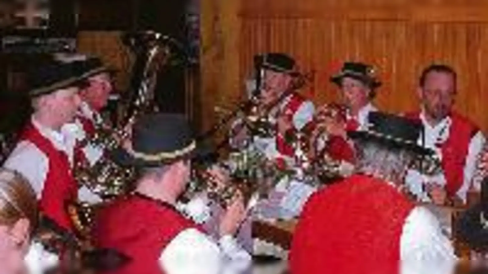 Nicht nur Volksmusik gibts bei der Unterschleißheimer Nacht der Musik. (Foto: VA)