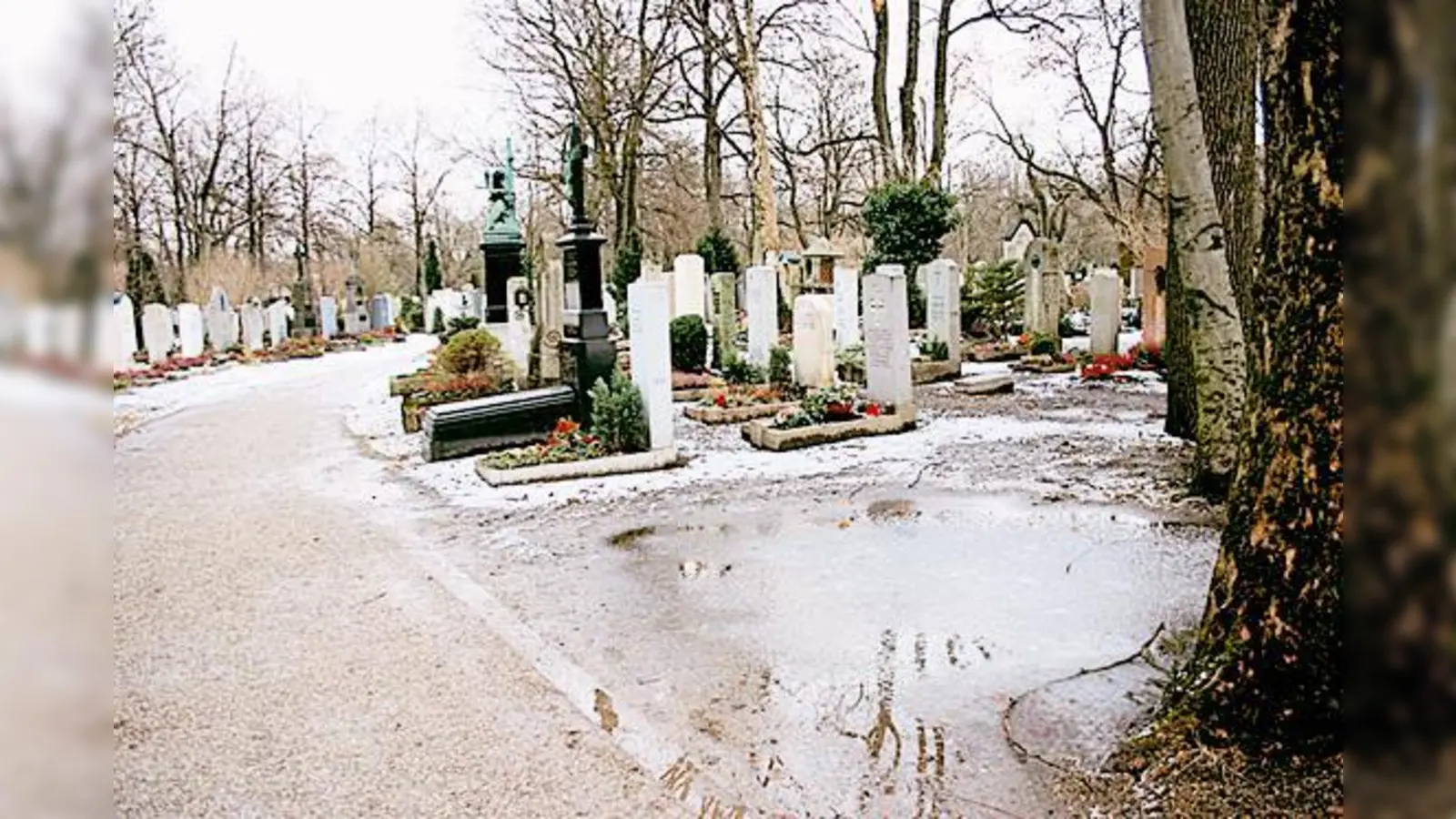 Das Wegenetz im Ostfriedhof, soll Zug um Zug schon im Frühjahr verbessert werden.  (Foto: Hettich)