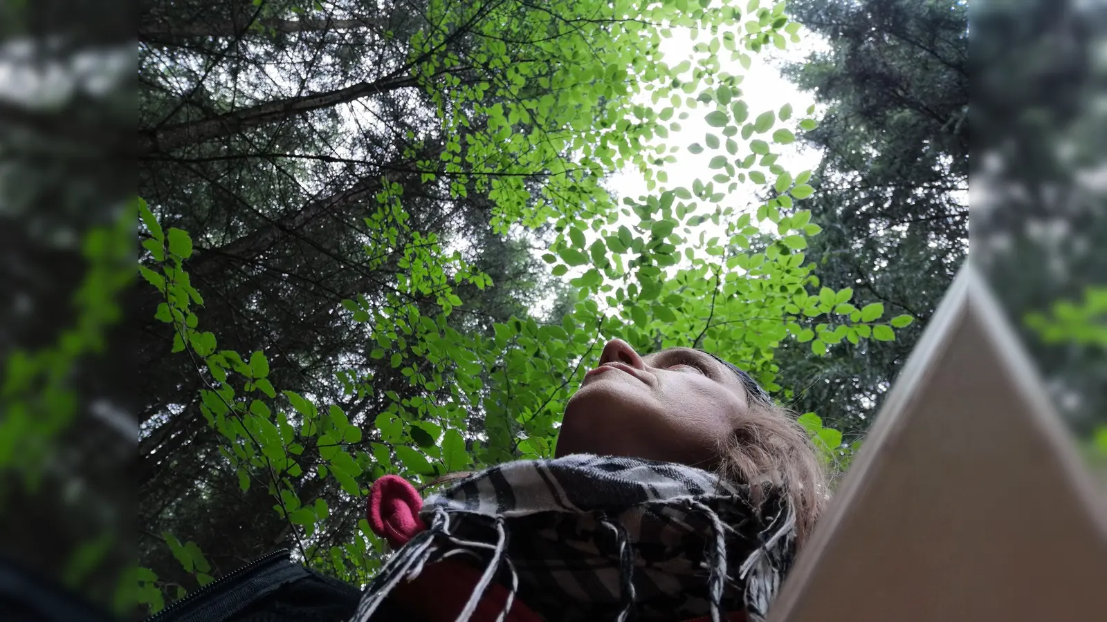 Petra Pichler nimmt die Teilnehmer mit auf eine spannende Reise durch die Natur. (Foto: Petra Pichler)