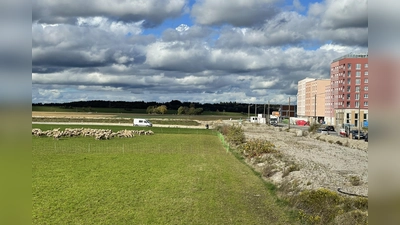 An die Häuser des ersten Realisierungsabschnitts wird sich die Bebauung des zweiten und der Landschaftspark Freiham anschließen. (Foto: pst)