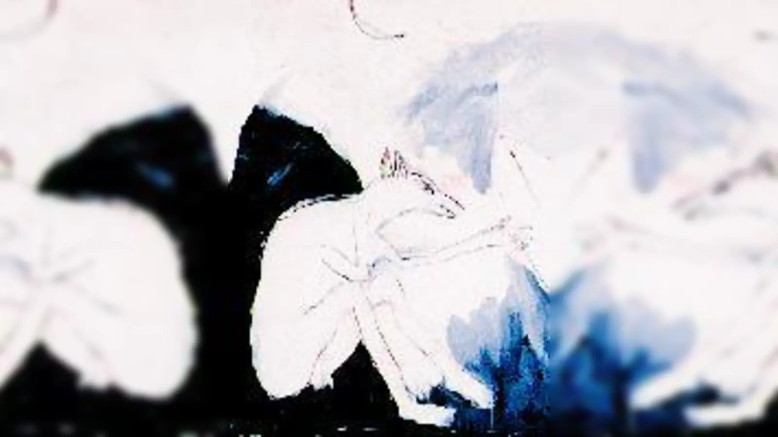 Andreas Biendl (Anubis mit Hund).	 (Foto: Kallmann-Museum)