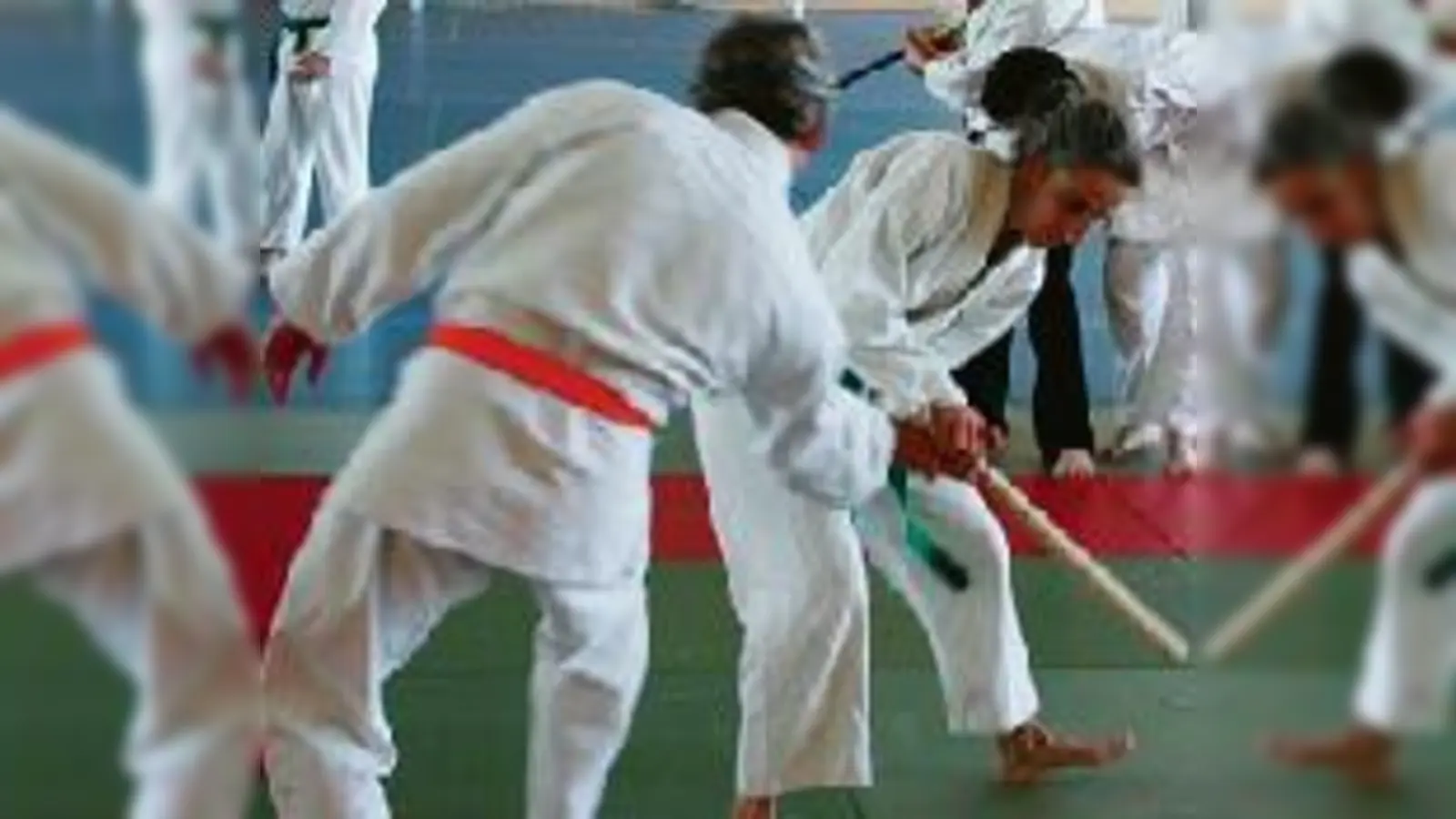 Drei neue Trainingstermine für Jiu Jitsu in Moosach.<br><br> 	 (Foto: VA)
