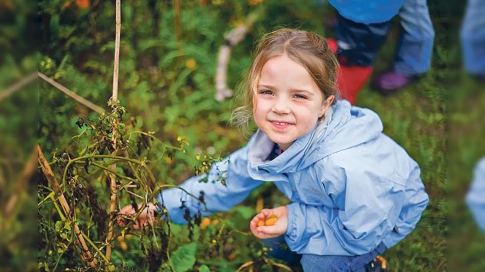 Spaß beim Pflanzen und späteren Ernten: Grundschüler machen mit beim Projekt »Grüne Schule«. 	 (Foto: Green City/Ong)