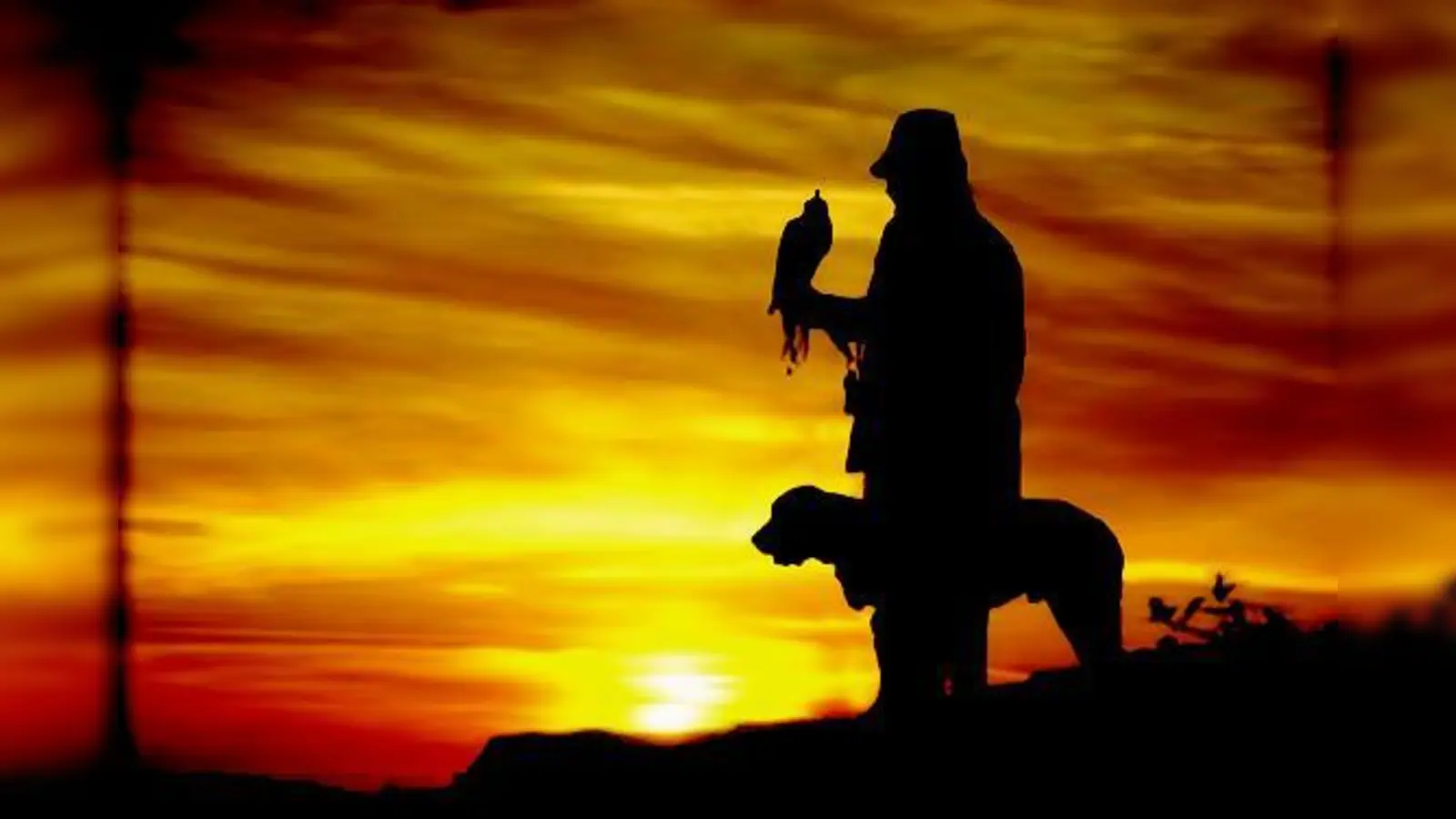 Die große Bandbreite der Beziehung zwischen Mensch und Vogel zeigt die Ausstellung, etwa die Jagd mit einem Falken.  (Foto: VA)