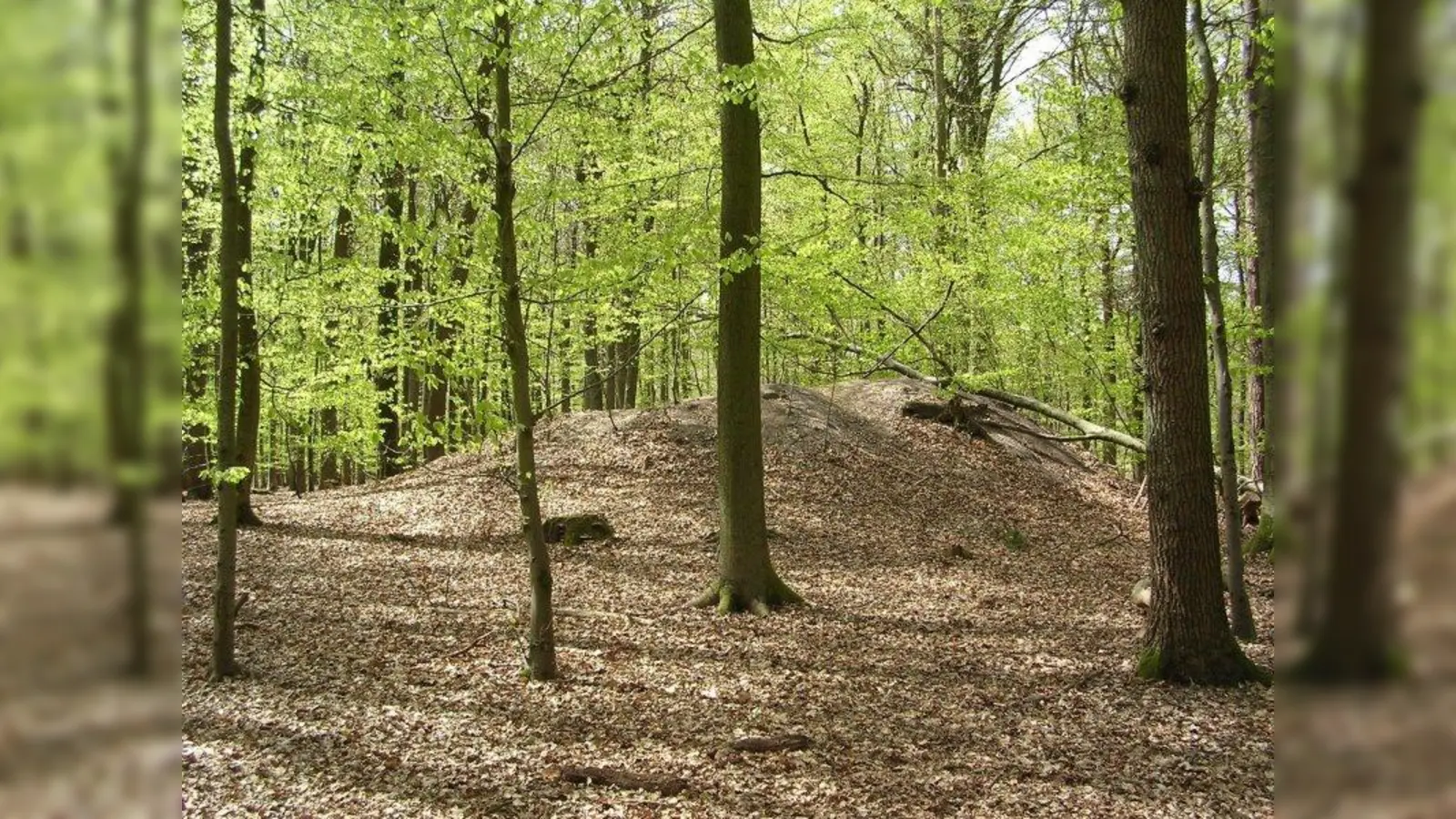 Auch in Karlsfeld solle es bald einen Friedwald geben, fordern die beiden Gemeinderäte Mechthild Hofner und Holger Linde. (Foto: Cekora/ pixelio.de)