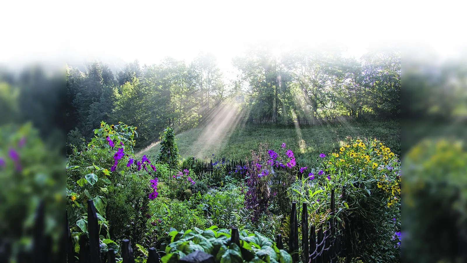 Sonnenstrahlen vertreiben die Eisheiligen.  (Foto: Markus Wasmeier)