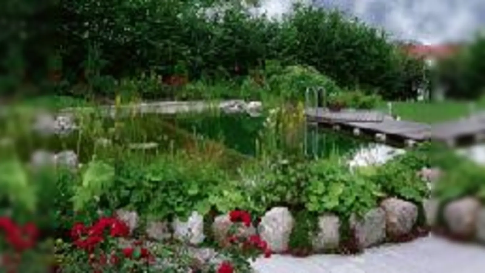 Badespaß ohne Chlor: Natürliche Gartenteiche sind bei Hausbesitzern voll im Trend.	 (Foto: Quelle Bausparkasse)