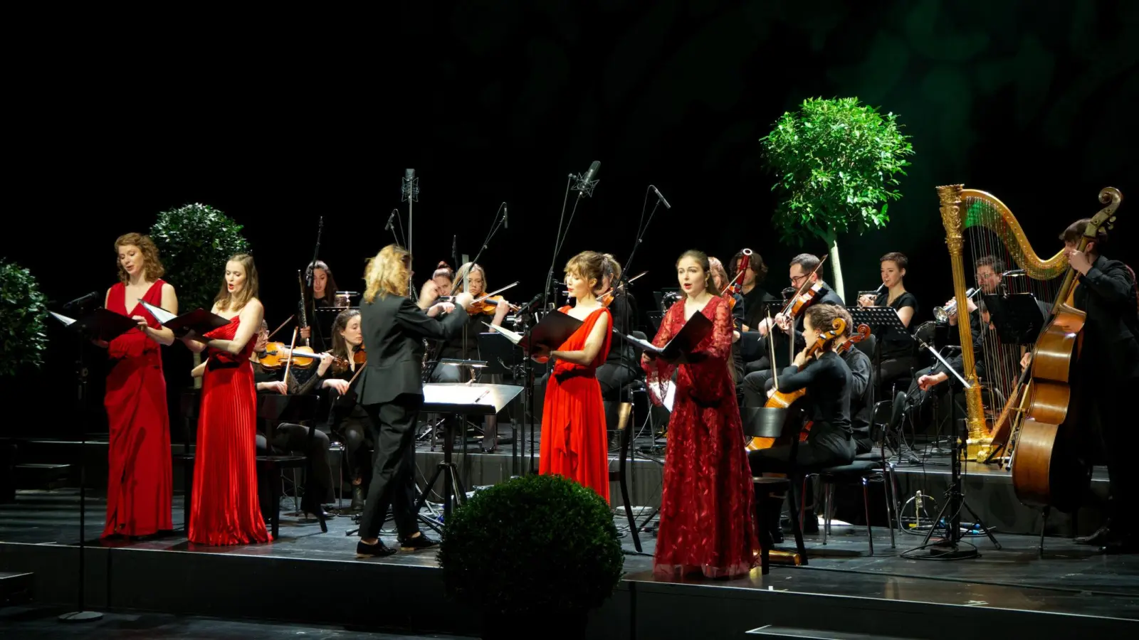 „SommernachtsBaum” heißt das Musiktheater, in dem sich das New World Orchestra dem Thema Wald widmet. Eine Einführung gibt Harald Lesch. (Foto: Michael Galeza)