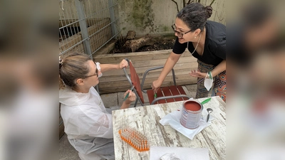 Heidi Ries (links) unterstütze die Malergruppe im Verein InitativGruppe e.V.: „Es war ein toller Tag, ich konnte mich engagieren und als Neu-Münchnerin die Maxvorstadt und viele Menschen kennenlernen.” <br>  (Foto: Freiwilligenzentrum z’sam)