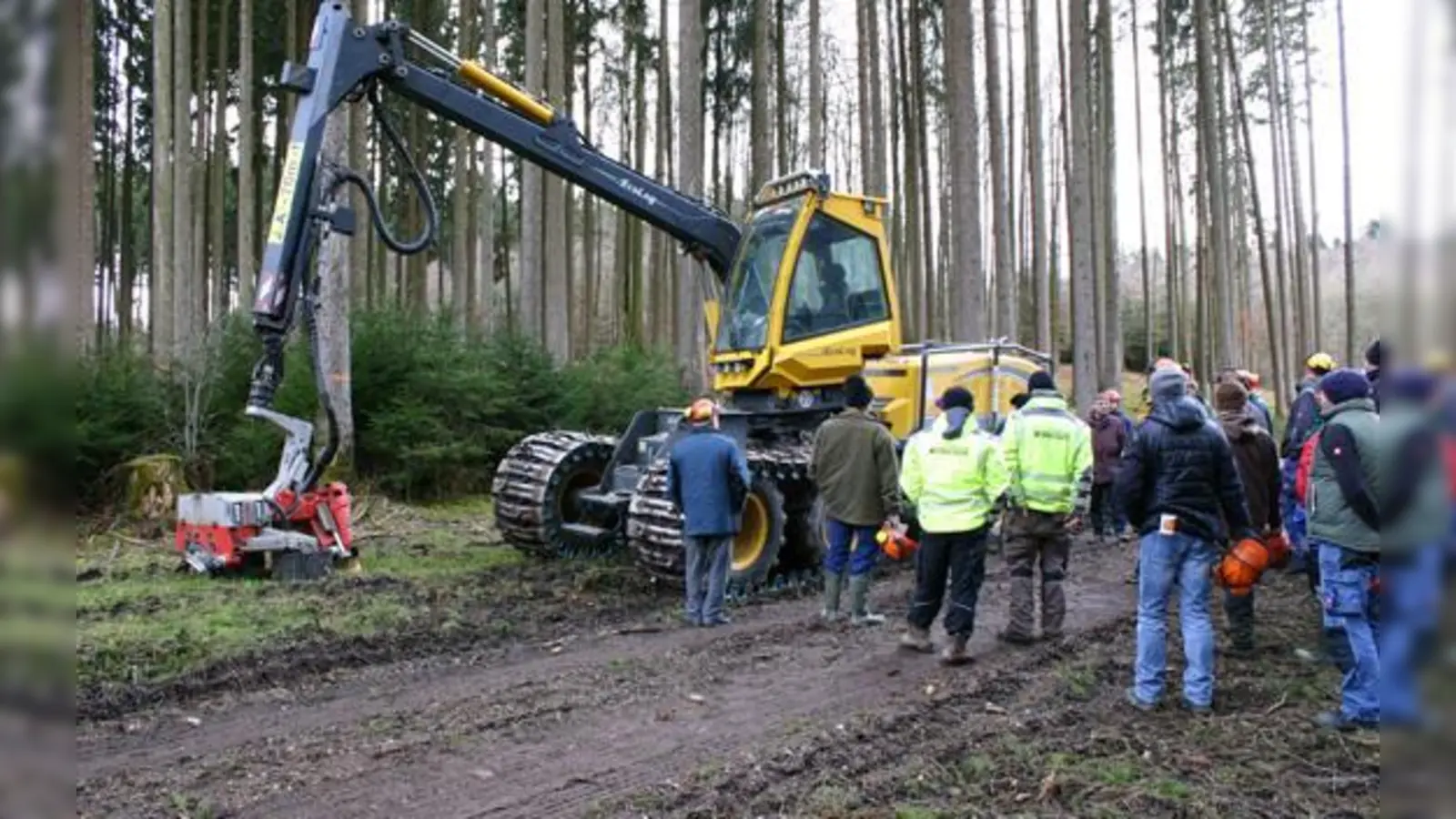 Das mächtige Gerät zur Holzernte aus der Nähe zu bestaunen war für die Waldbesitzer eine neue Erfahrung. Normalerweise muss aus Sicherheitsgründen weiträumig gesperrt werden, und das geschah hier auch. (Fotos: kw)
