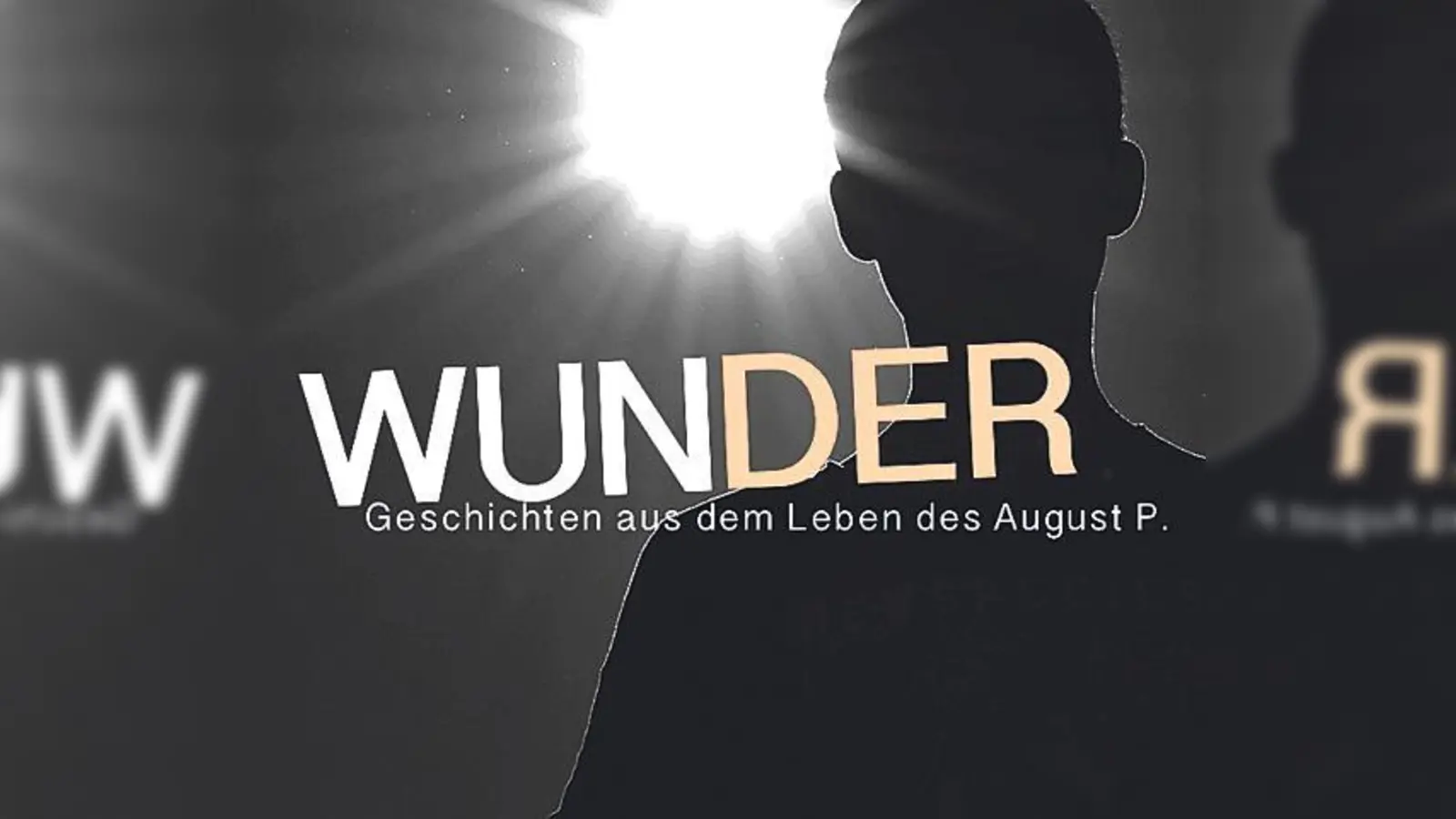 Schüler des Ernst-Mach-Gymnasium präsentieren eigene Gedanken zum Jugendbuch »Wunder«.	 (Foto: VA)