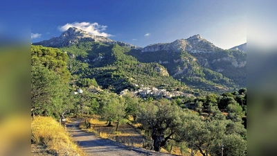 Traumhaft und unvergesslich: Die blühende Landschaft Mallorcas. (Foto: Foto: ADAC Reisen)