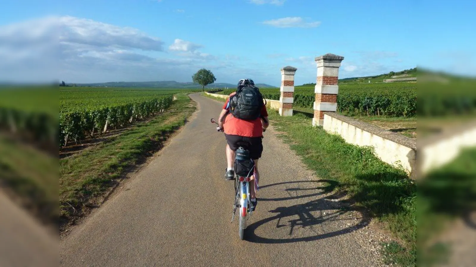 Radeln hat viele positive Effekte: Neben der Vermeidung von CO2-Ausstoss, kann man zusärtzlich die oft herrliche Landschaft bewundern. (Foto: ADFC / AOK)