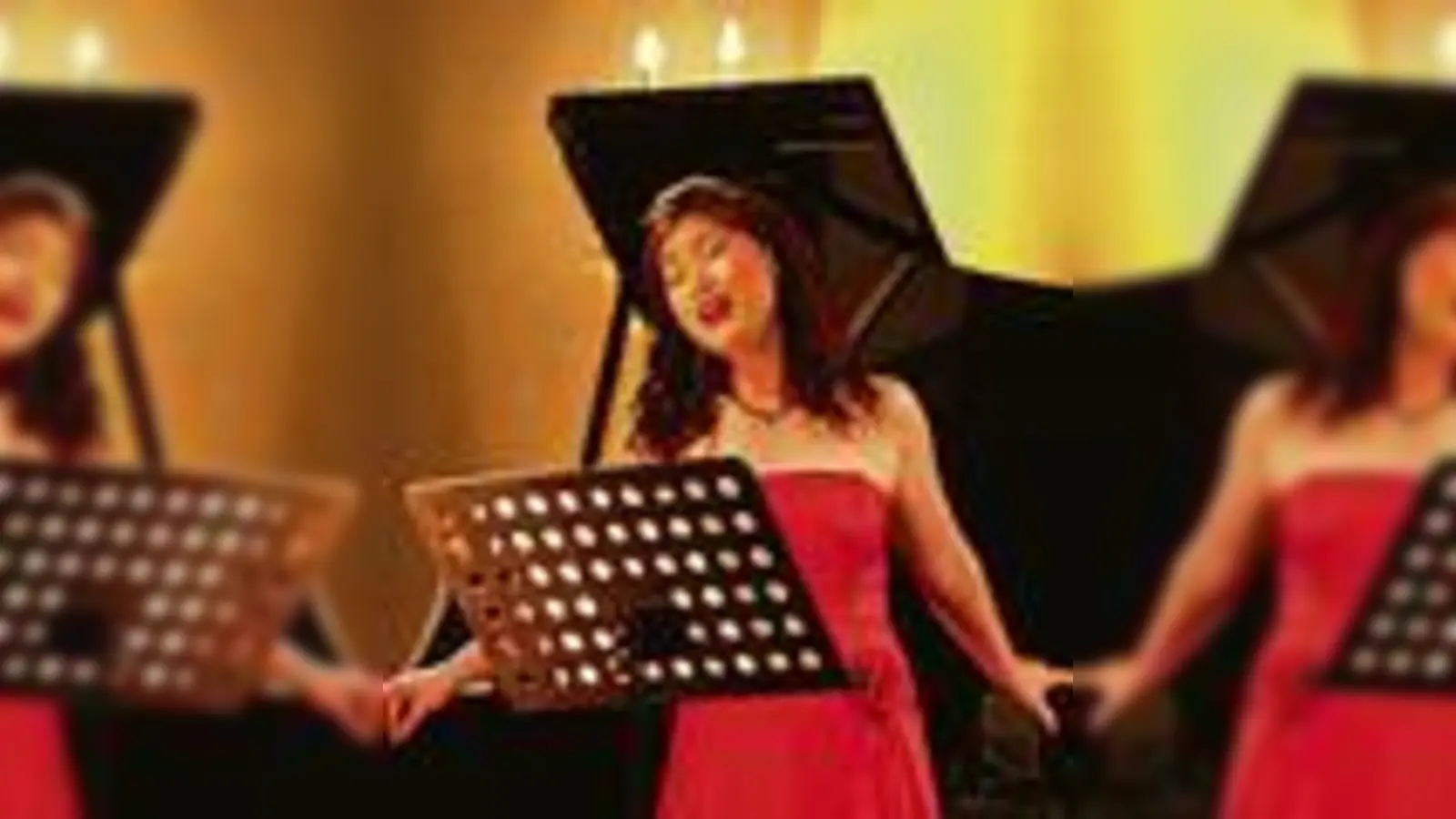 Die Mischung machts  eine Operette, garniert mit einem Feinschmecker-Menü.	 (Foto: VA)