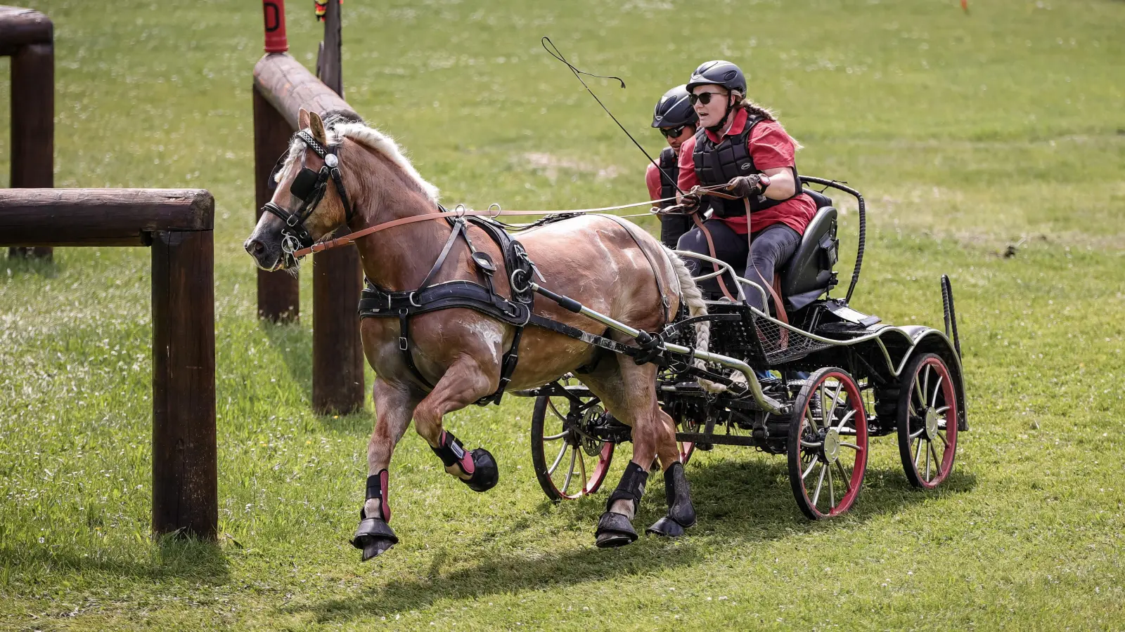 Die bayerische und deutsche sportliche Elite des Fahrsportes fährt in Riem ihre Meister aus. (Foto: Bayerischer Reit- und Fahrverband e.V.)