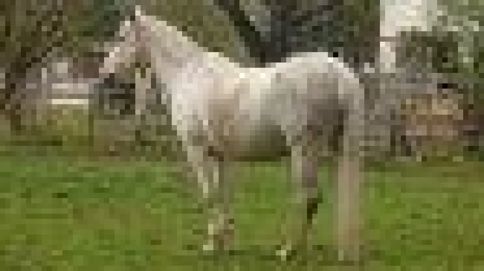 Der Reitstall mitten im Ort verleiht dem Areal Ubostraße seit vielen Jahren eine ländliche Idylle. Er soll auf alle Fälle bleiben. (Foto: pst)