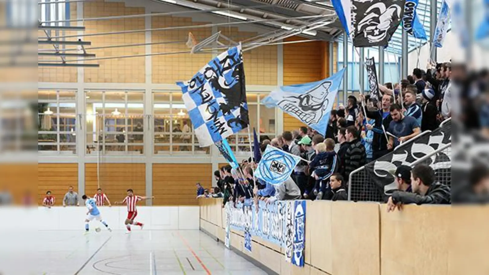 Budenzauber: Löwen in der Halle.  (Foto: Anne Wild)