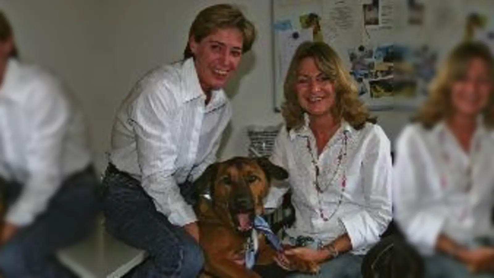 Sekretärinnen Monika Büch (links), Sandra Bartl und Bürohund Paulchen.  (Foto: 1860)