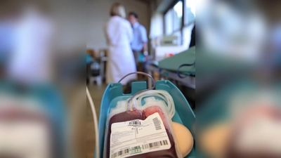 Nach gefährlichen Einbrüchen spenden in Bayern wieder mehr Menschen Blut. (Foto: BSD des BRK)