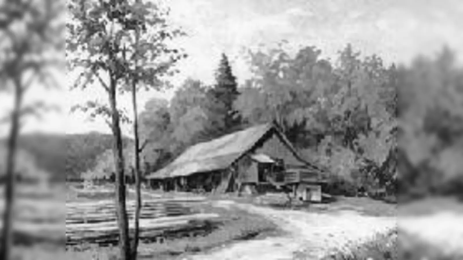 Idyllische Landschaftsbilder zeigt Hubertus Wild. 	 (Foto: Privat)