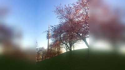 So kennen wir den Olympiapark - doch vor 50 Jahren war er nur ein (voranschreitender) Gedanke. (Foto: Daniel Mielcarek)