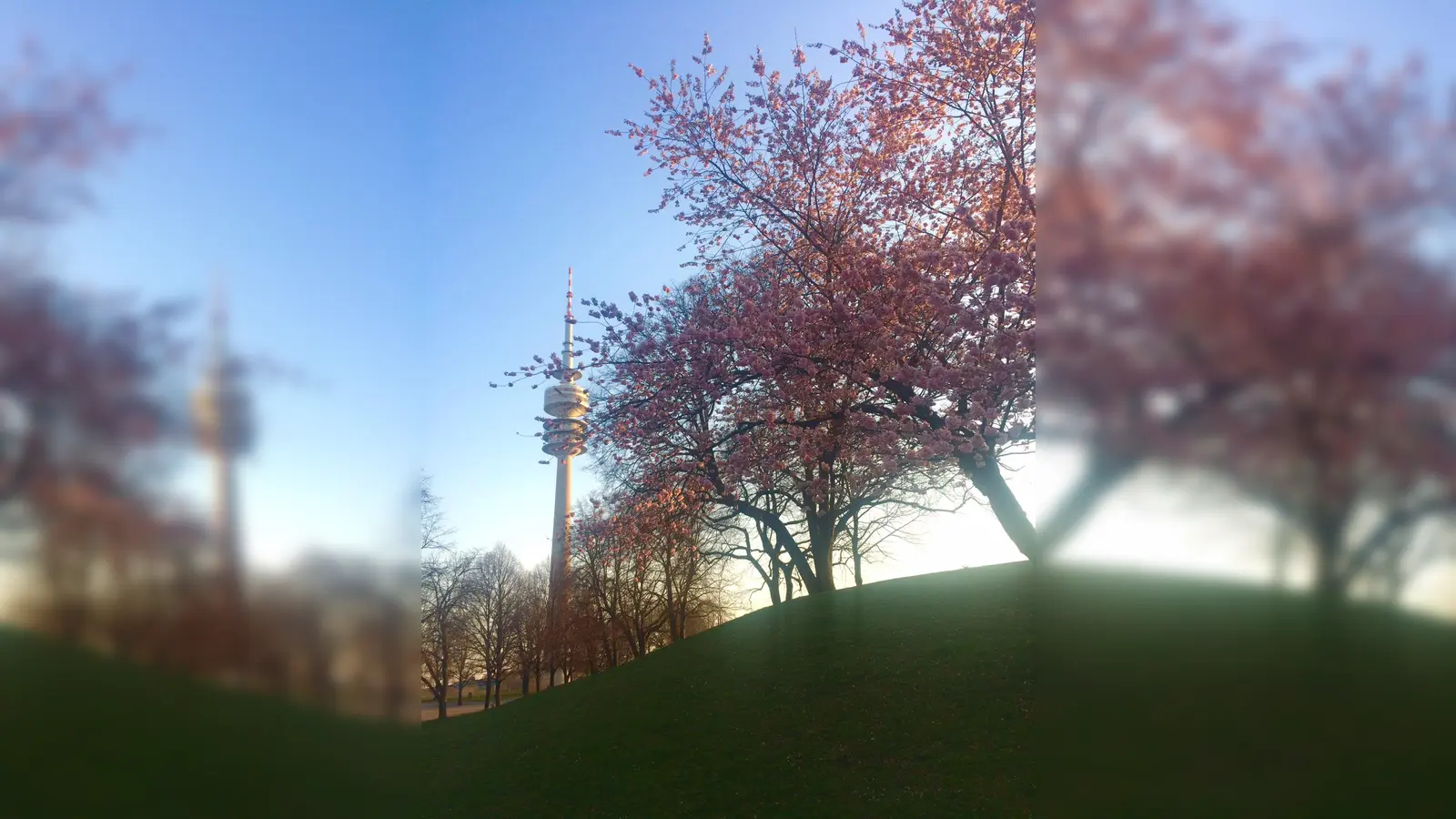 So kennen wir den Olympiapark - doch vor 50 Jahren war er nur ein (voranschreitender) Gedanke. (Foto: Daniel Mielcarek)