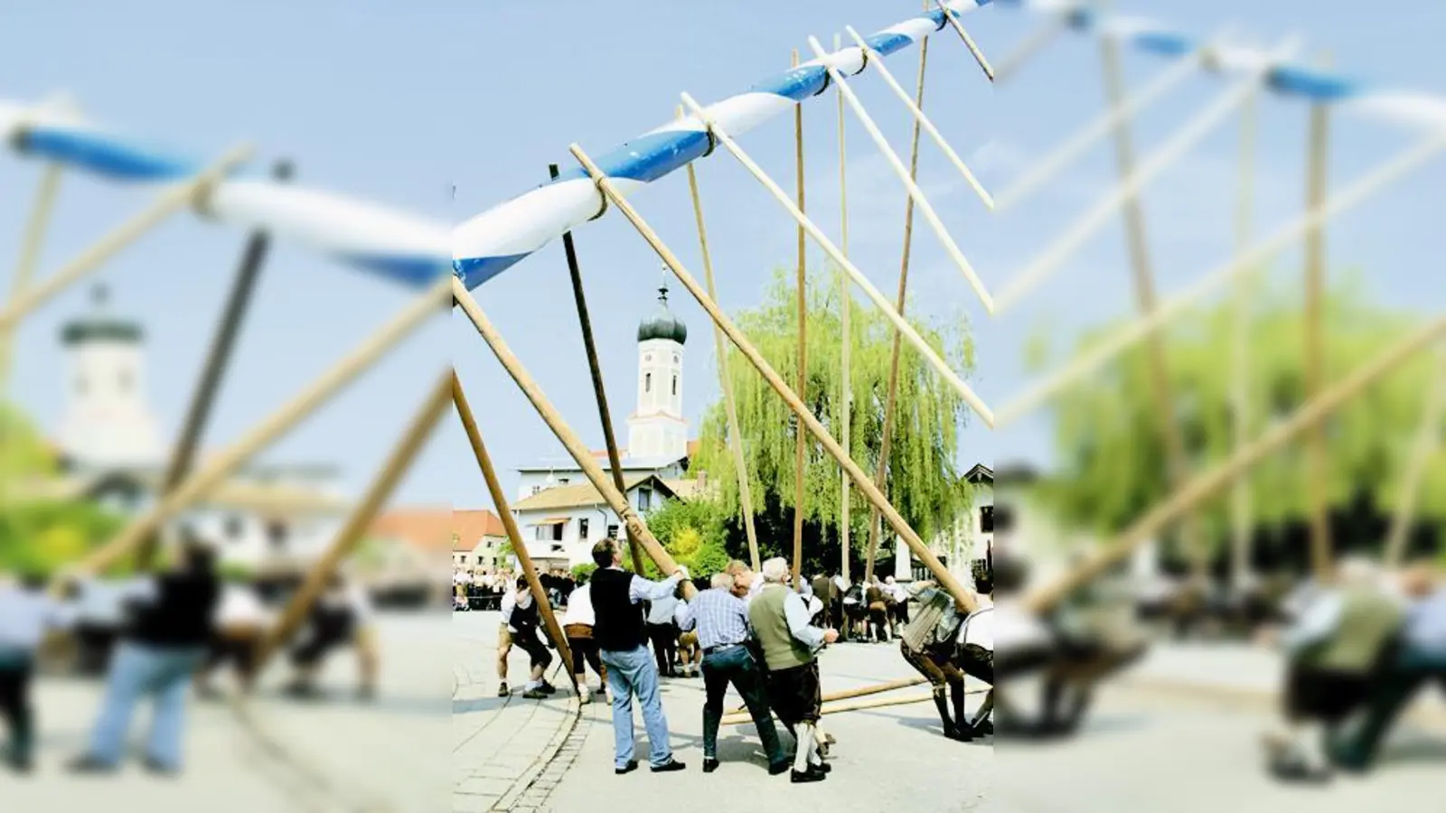 Mit Hilfe von »Schwaiberl« und Manneskraft wurde der Maibaum in die Höhe gehievt.  (Foto: Hirt)