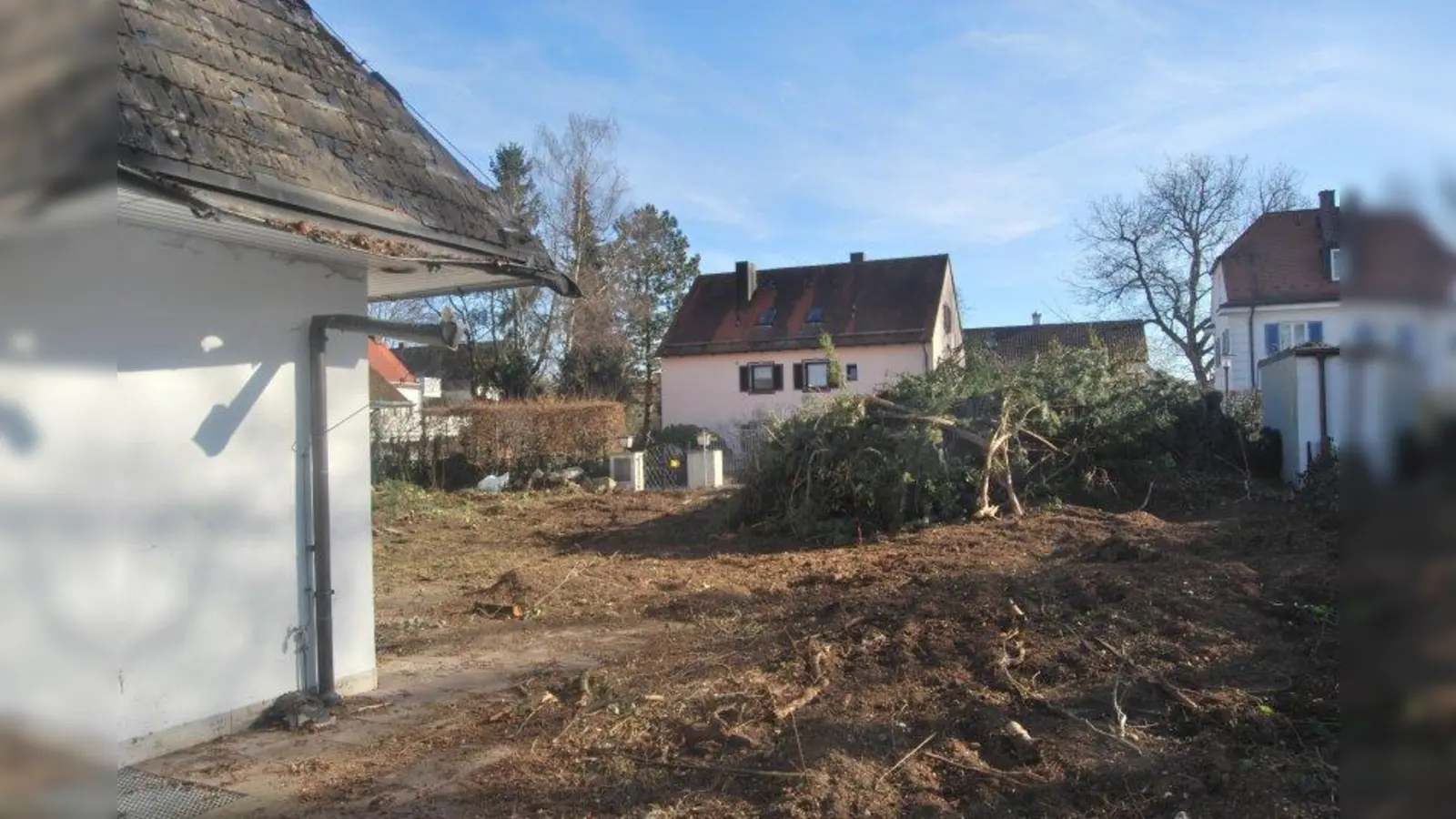 „Wenn wir nicht aufpassen, ist es in Schwabing bald grüner als bei uns.” Illegale Rodungen und unkontrollierte Nachverdichtungen gefährden die Gartenstadt Obermenzing. (Foto: Frieder Vogelsgesang)