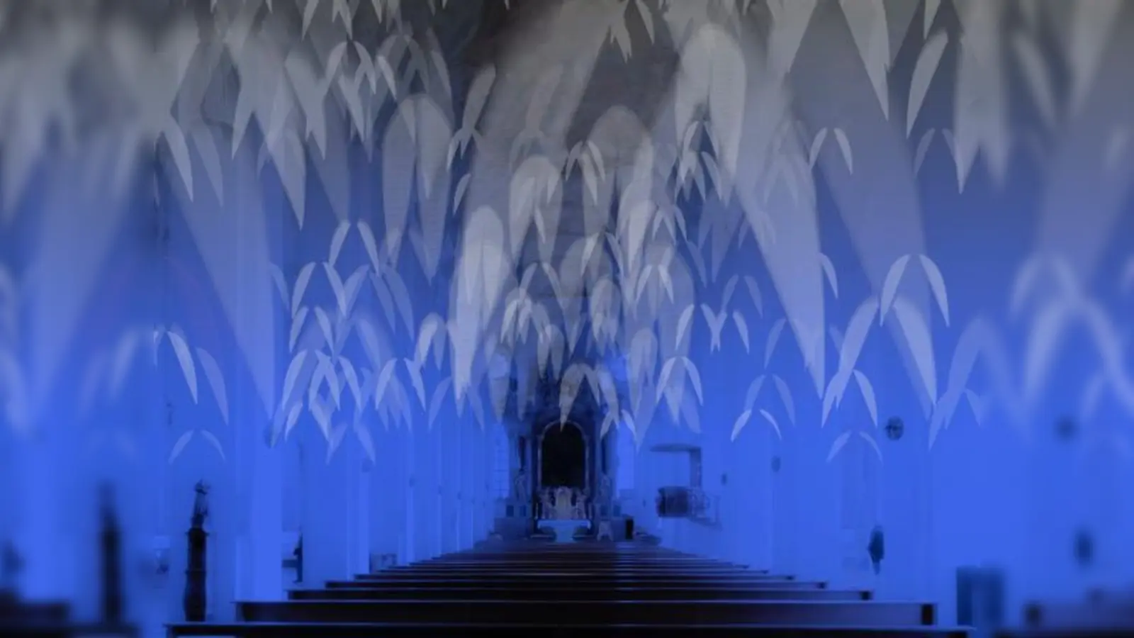 "Unter Flügeln" heißt die Videoinstallation von Philipp Geist in der Heilig-Geist-Kirche. Die Installationen von Anja Wechsler ist am 17. November in Rupert zu bewundern.  (Foto: Philipp Geist, Anja Wechsler)