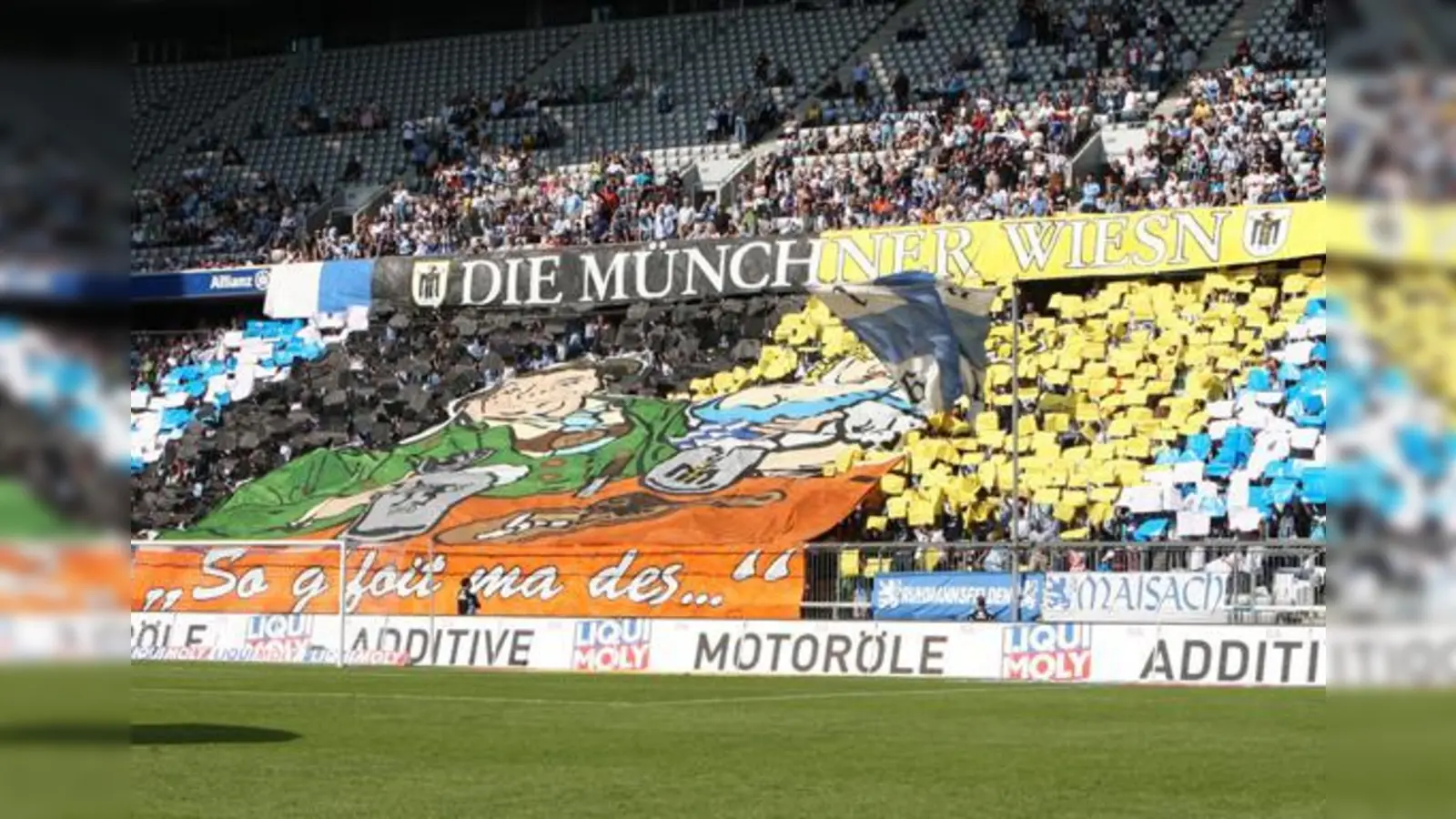 Die Löwenfans beim Wiesnheimspiel (Archivbild von 2009).  (Foto: A. Wild)