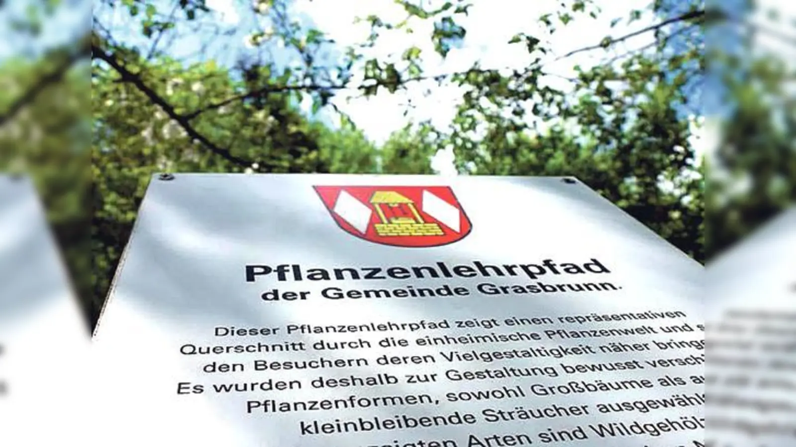 Walderlebnispfad besteht aus Rundweg mit derzeit elf ortsfesten Stationen.	 (Foto: VA)