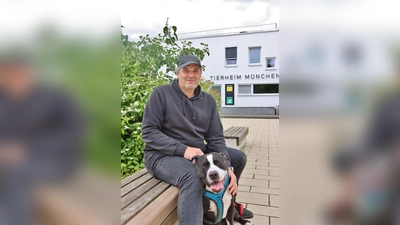 Claus Reichinger, stellv. Vorsitzender des Tierschutzvereins, liegen die Listenhunde besonders am Herzen. (Foto: Tierschutzverein München e.V.)