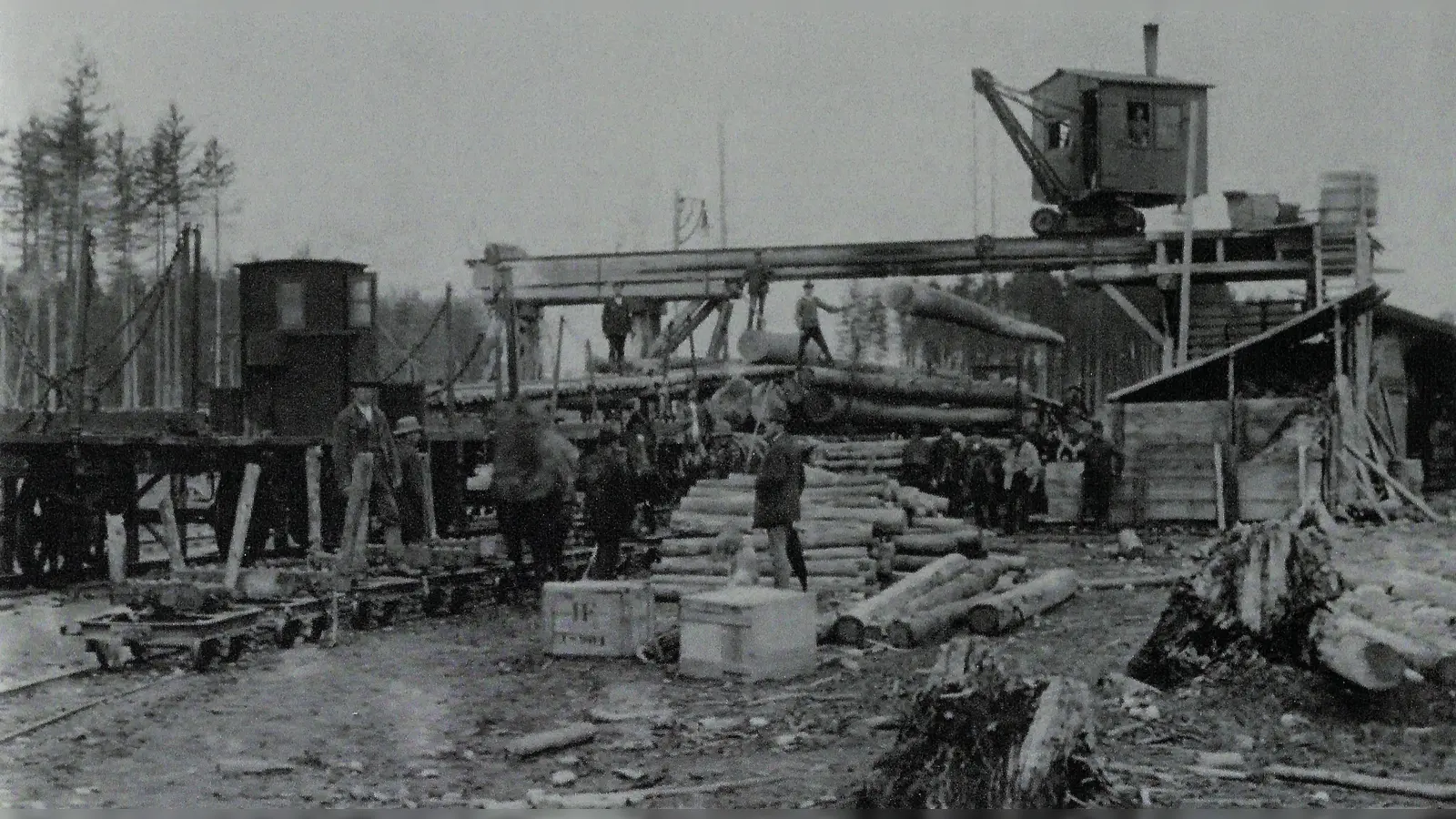 Verladung des Schadholzes, das der Befall durch die Nonnenraupe zwischen 1888 und 1891 im Ebersberger Forst hinterlassen hatte. An der Bahnstation kamen u.a. dampfbetriebene Kräne zum Einsatz.  (Foto: Historischer Verein Ebersberg)