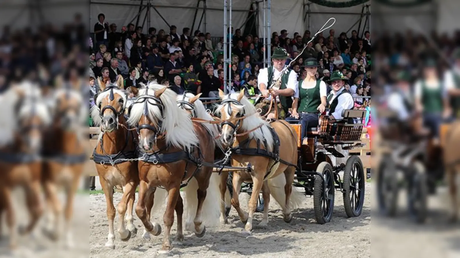 Auch das Landwirtschaftsfest wird immer spektakulärer. Es war einst das Gründungsfest der Wiesn und findet noch bis zum Sonntag statt	 (Foto: ZLF)