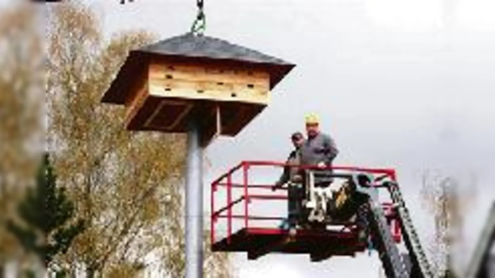 Ein neues Zuhause für die Riemer Mauersegler.  (Foto: VA)