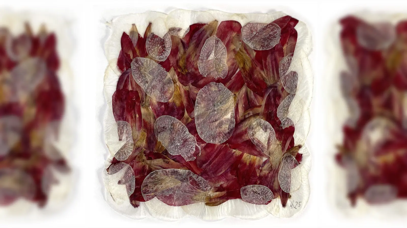 Die Kunstausstellung „Radical Art - Wurzelpapiere” ist zu den Öffnungszeiten der Stadtbibliothek zu sehen. (Foto: M. Unterfraunhofer)