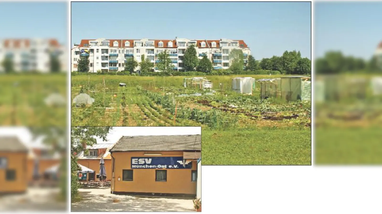 Die Stadt sieht die künftige Schule auf dem Gelände am Michaelianger (oben), wo derzeit die Krautgärten gedeihen. Der BA präferiert den Standort des ESV, der diesen Platz bald räumt.	 (Fotos: js)