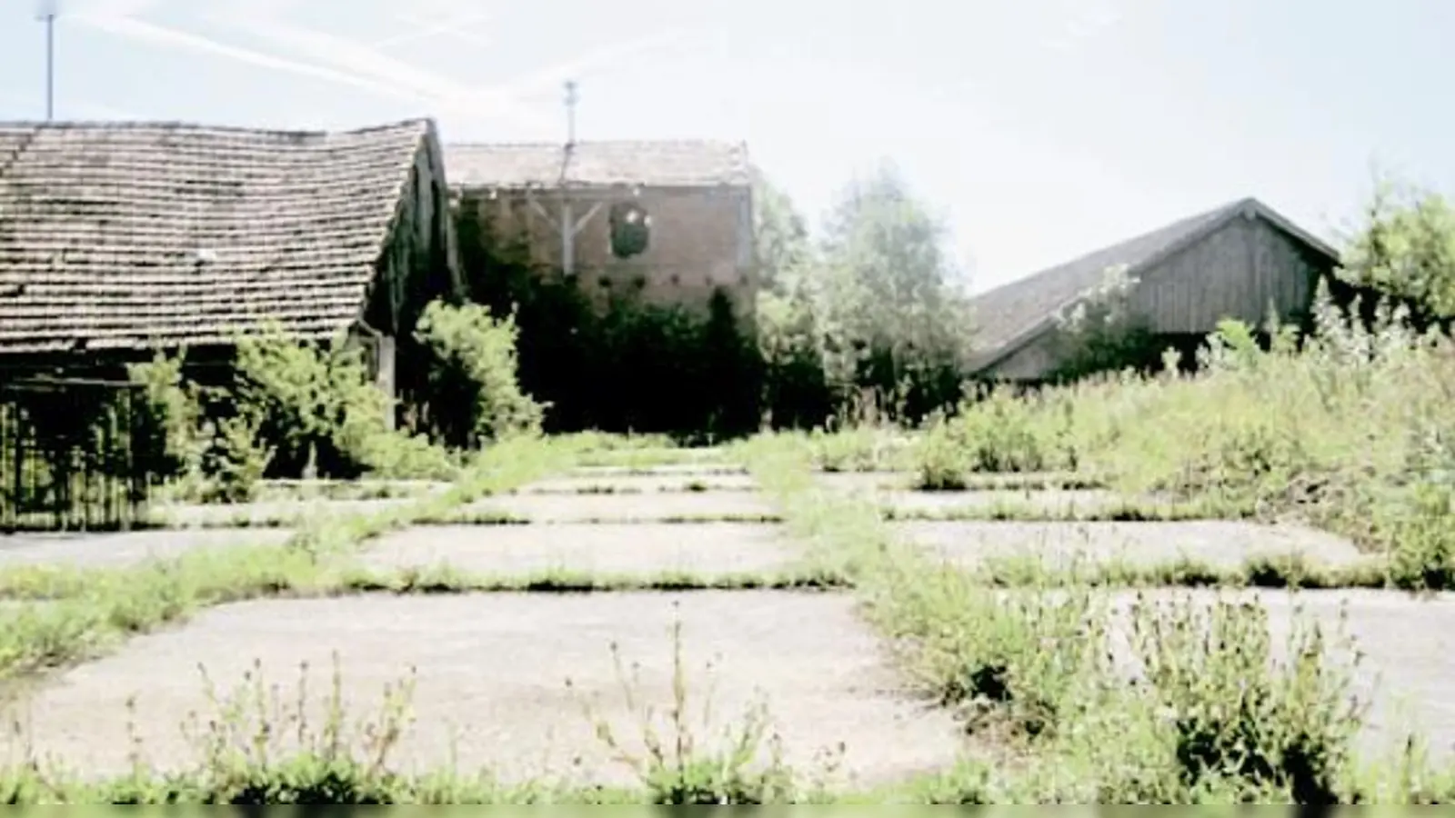 Blick auf die Reste des Ziegeleigeländes. 	 (F: Verein)