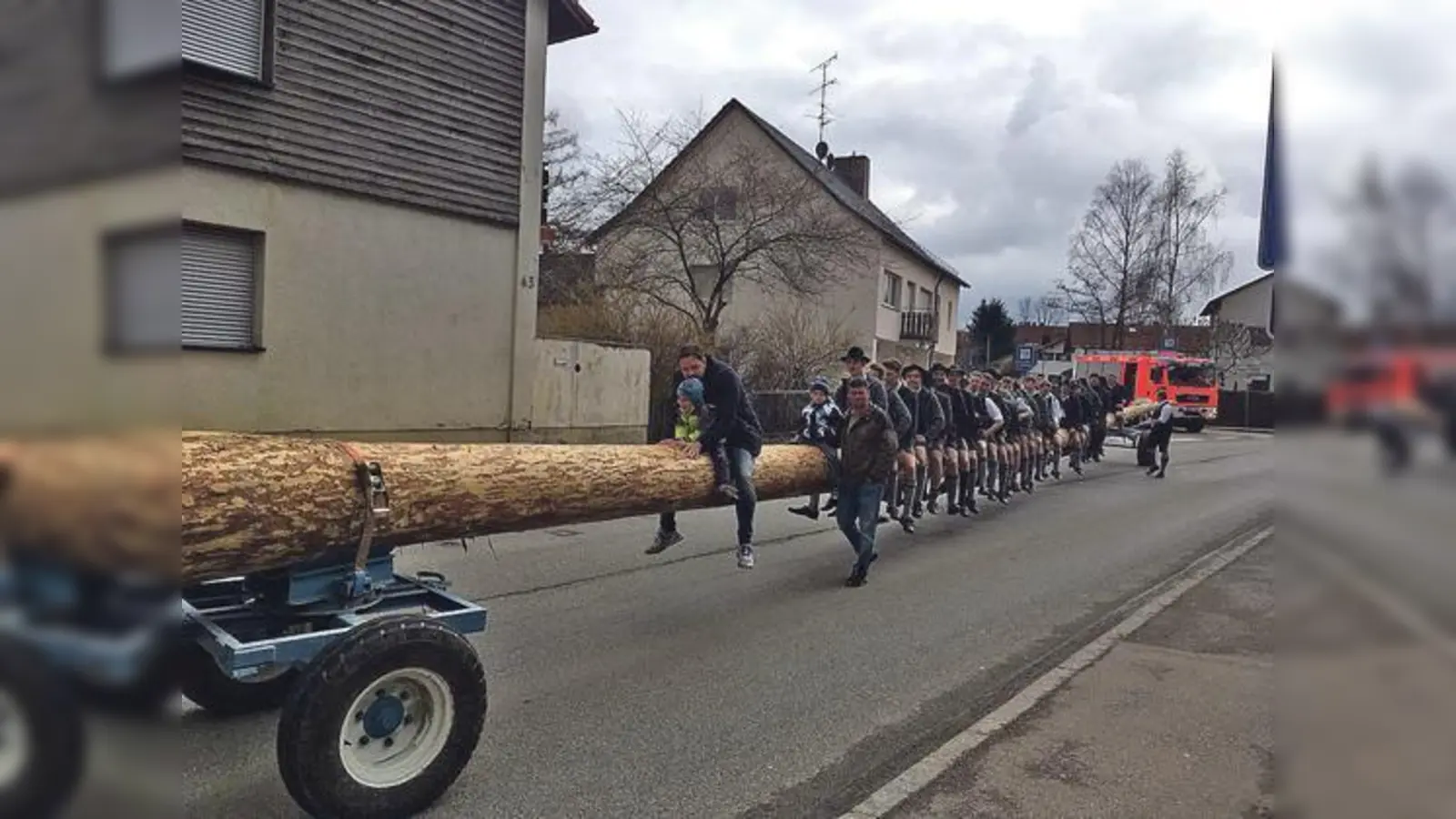Knapp 37 Meter lang ist der neue Anzinger Maibaum. Am 1. Mai stellen die Anzinger Burschen ihr Stangerl mit reiner Muskelkraft auf.	 (Foto: Burschenverein Anzing)