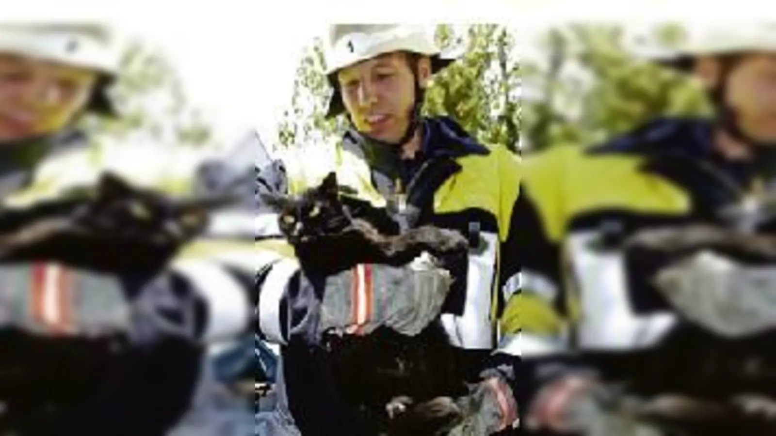 Unfreiwillig weitgereist: der »Schwarzfahrer« auf vier Pfoten. Wem das Tier gehört, ist bislang unbekannt. 	 (Foto: Feuerwehr)