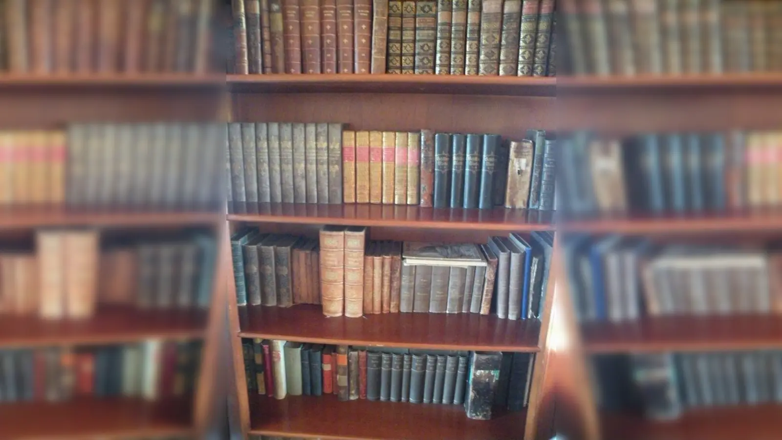 Nicht nur, aber auch viele interessanten und gute Bücher gibt es beim Büchermarkt des Rotary Clubs am Wochenende. (Foto: mka / Archiv)