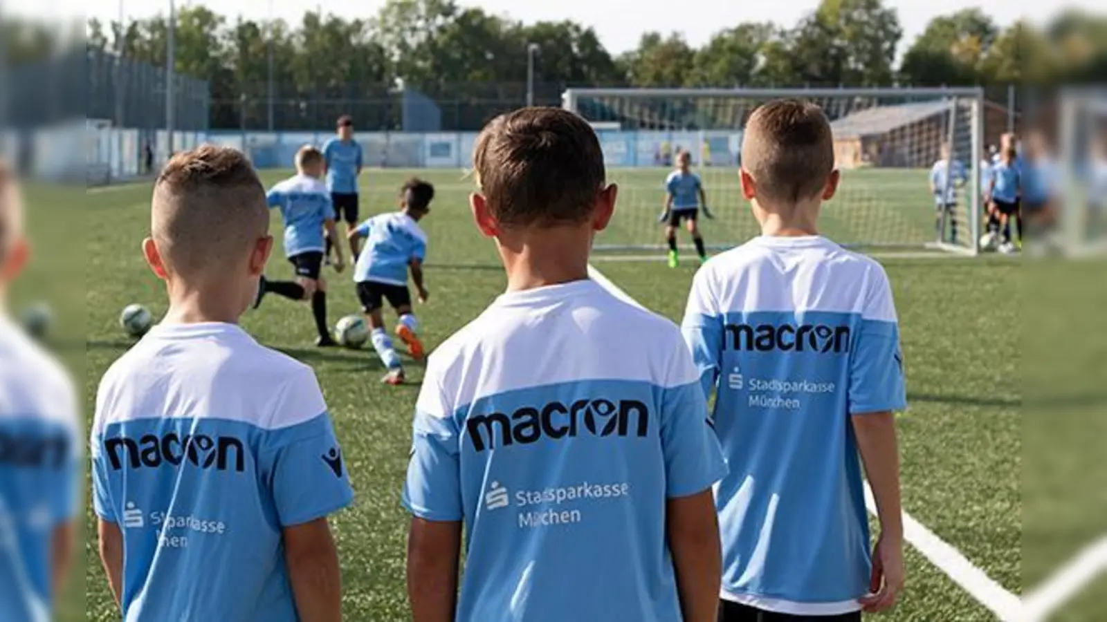 Ausbildung auf hohem Niveau: Junglöwen in Giesing.  (Foto: Anne Wild)