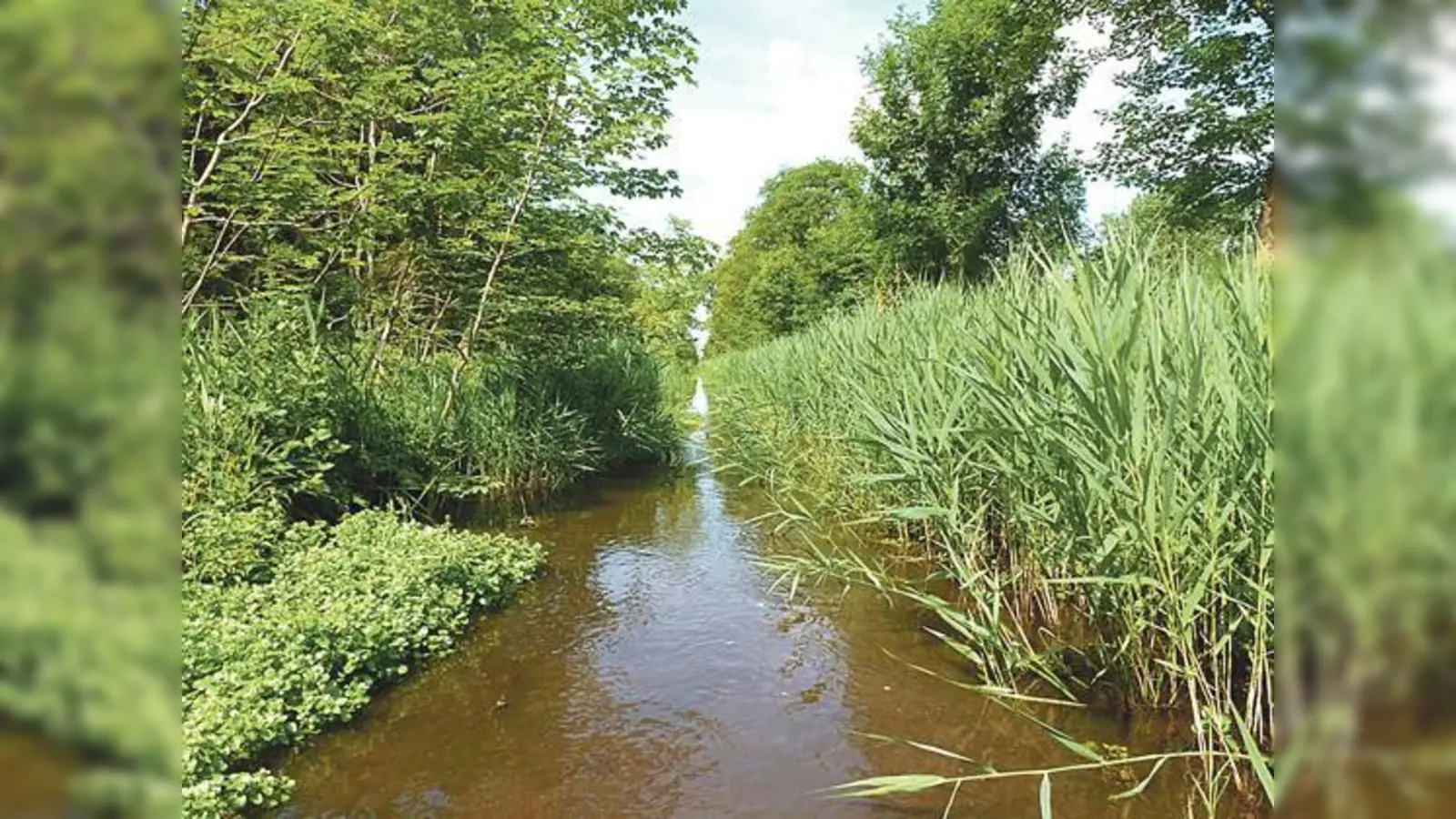 Nur durch gemeinsames Handeln aller Beteiligten lasse sich sich die wertvolle Kulturlandschaft Oberbayerns und damit der gute Zustand der Natura 2000-Gebiete  wie hier der Schleißheimer Kanal  erhalten.	 (Foto: Klaus Burbach)