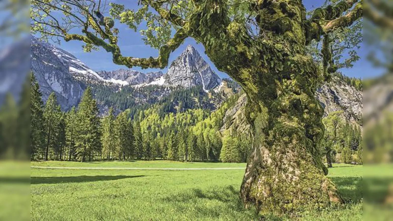 Mit Blick fürs Detail: Das oberbayerische Bergpanorama von Felix Bäuml.	 (Foto: Felix Bäuml)