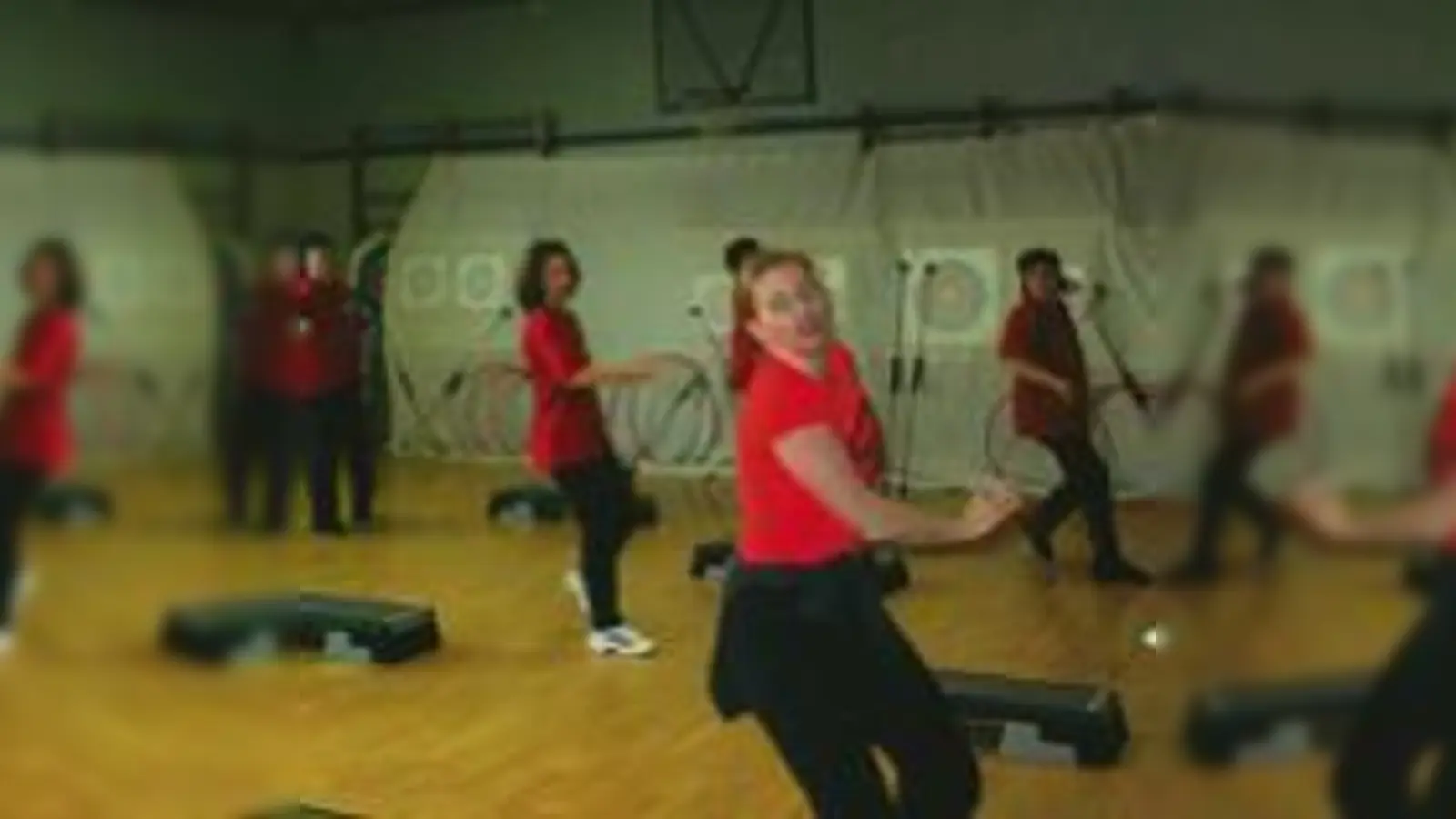 Mit »Steps« macht es Spaß, jede Menge Kalorien zu verbrennen.	 (Foto: VA)