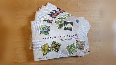 Die neue Broschüre „Hecken entdecken“ hat der LBV München mit Unterstützung des Referates für Gesundheit und Umwelt herausgebracht hat. (Foto: Frauke Lücke)