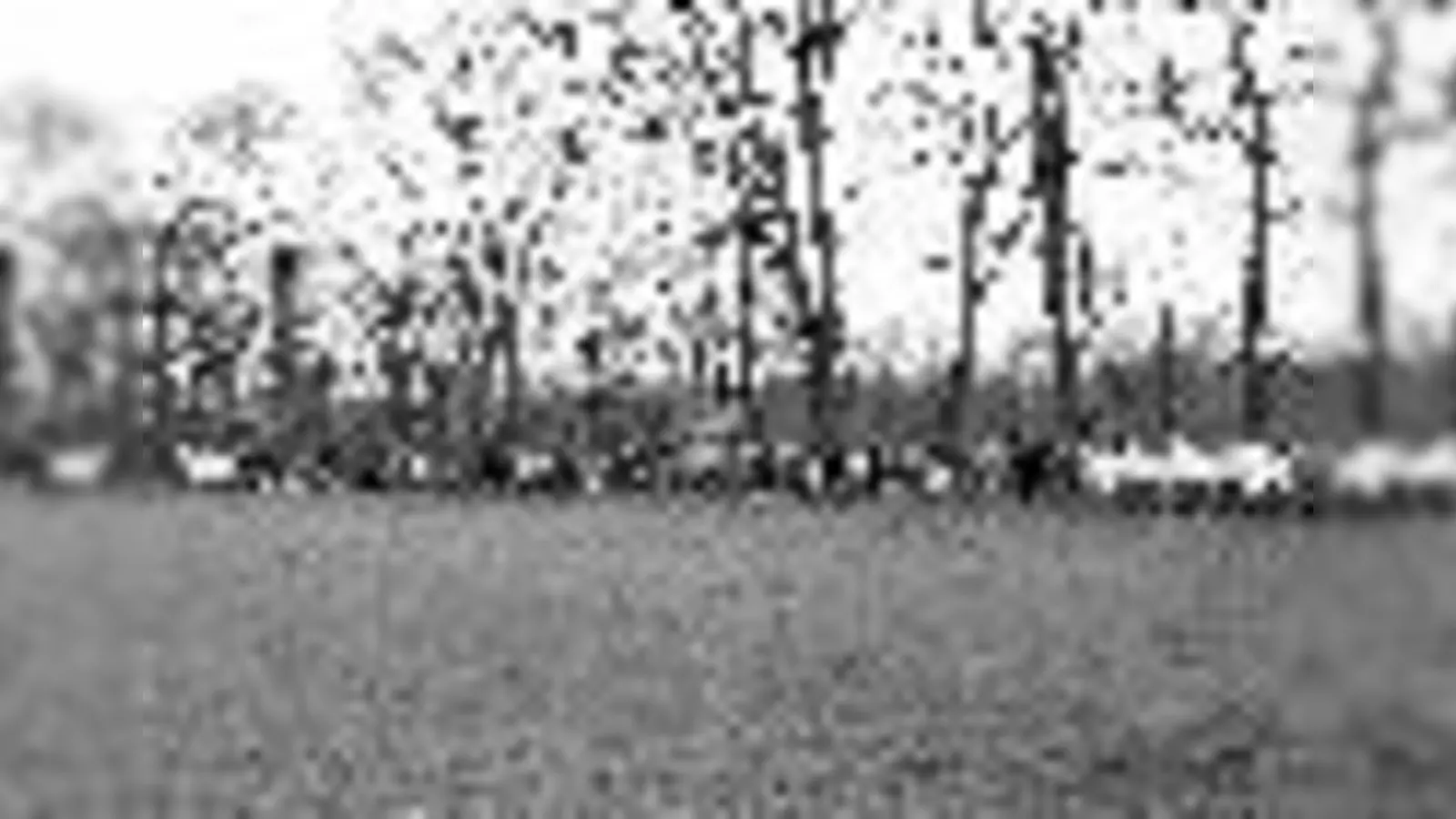 Berg am Laim ·&nbsp;Ostern in barocker Baustelle (Foto: red)