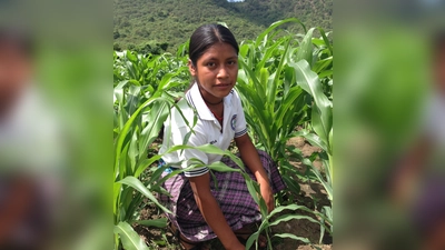 Die Saat geht auf! An der Fachschule für ländliche Entwicklung werden junge Maya für eine Zukunft in ihren Heimatgemeinden vorbereitet. Projekt der Fundación Nueva Esperanza.  (Foto: Hans Leipold, Elote e.V)